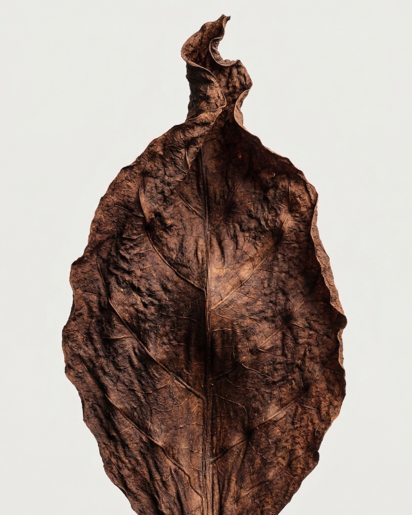M2SKIN Incense-1